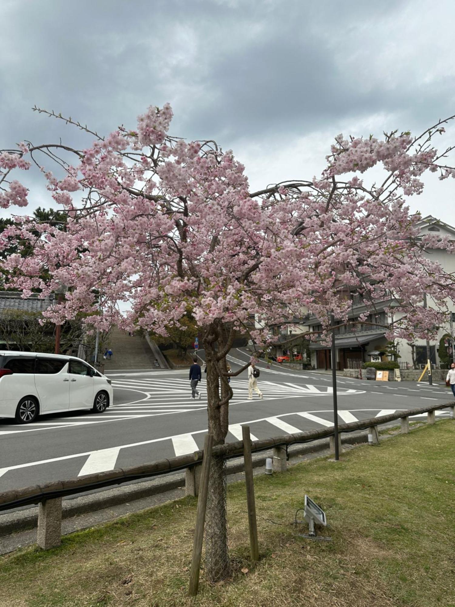 Hotel Ryokan Kousen Kazeya Group Nara Exterior foto