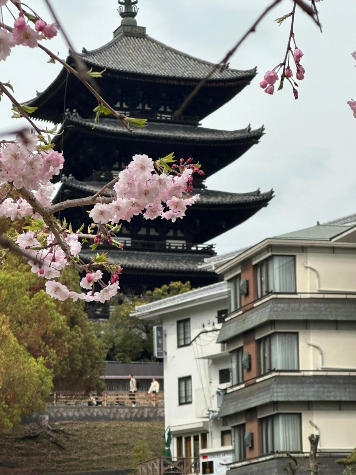 Hotel Ryokan Kousen Kazeya Group Nara Exterior foto