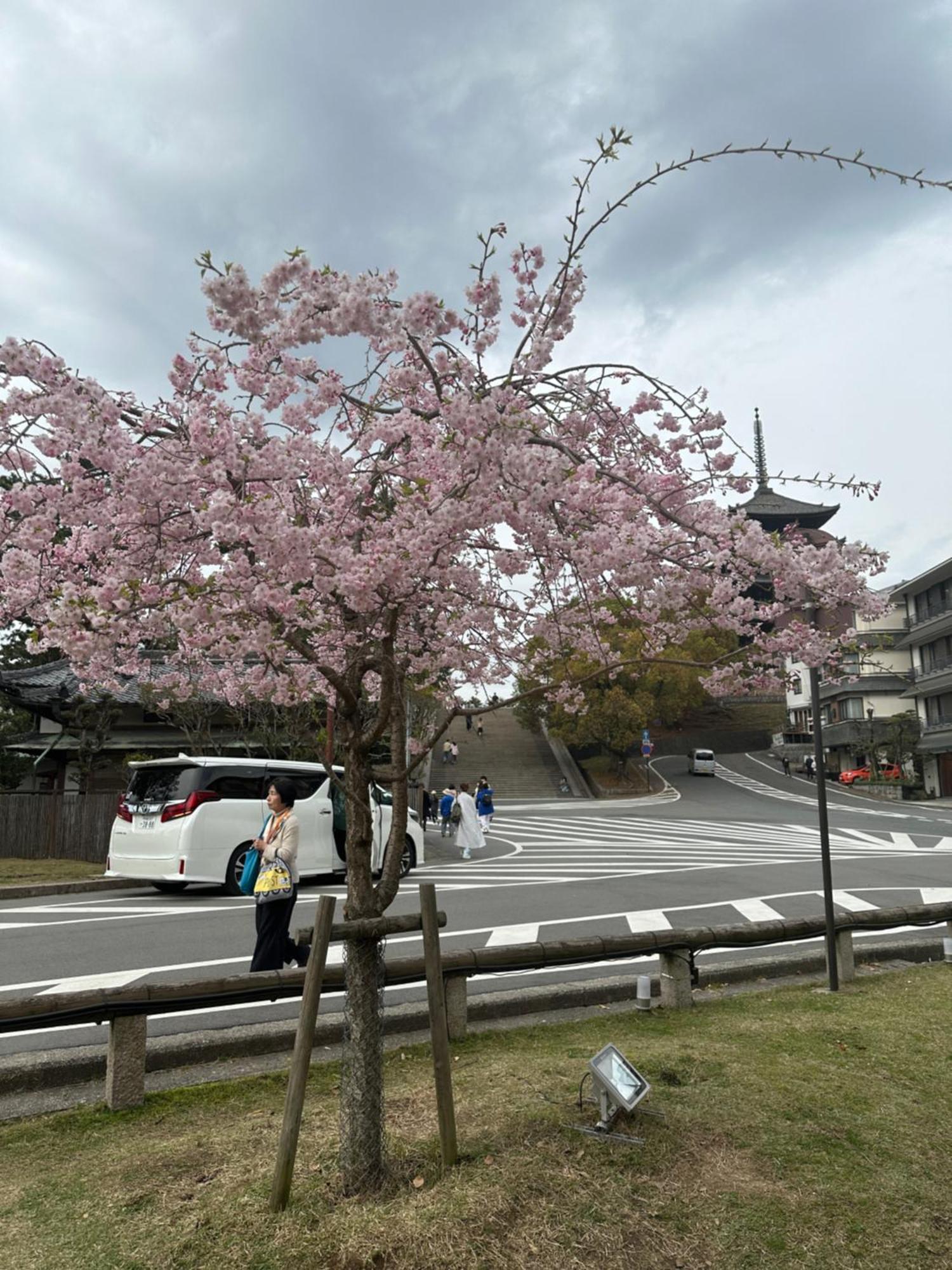 Hotel Ryokan Kousen Kazeya Group Nara Exterior foto